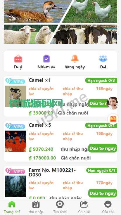 新的版本多语言/二开版海外投资理财系统/任务图推广注册奖励/投资理财源码系统源码