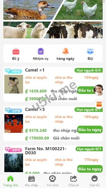 新的版本多语言 二开版海外投资理财系统 任务图推广注册奖励 投资理财源码